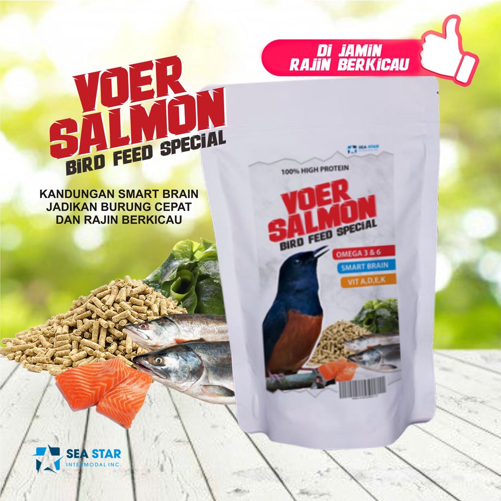 pakan burung voer spesial murai batu