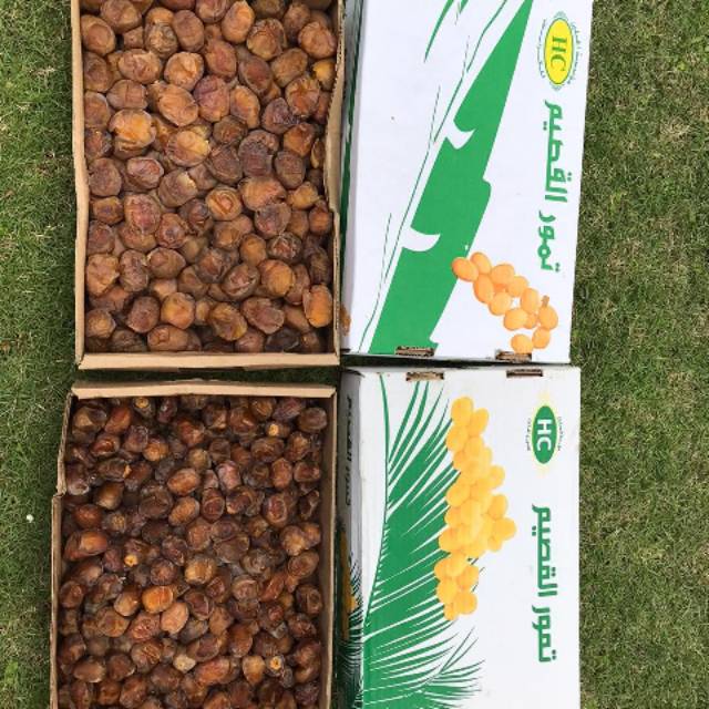 

Kurma Sukari