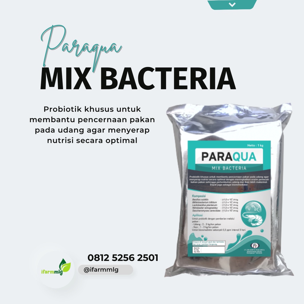 Paraqua Mix Bacteria 1 Kg – Probiotik Udang Membantu Proses Penernaan Pakan – Probiotik Udang Bebas 