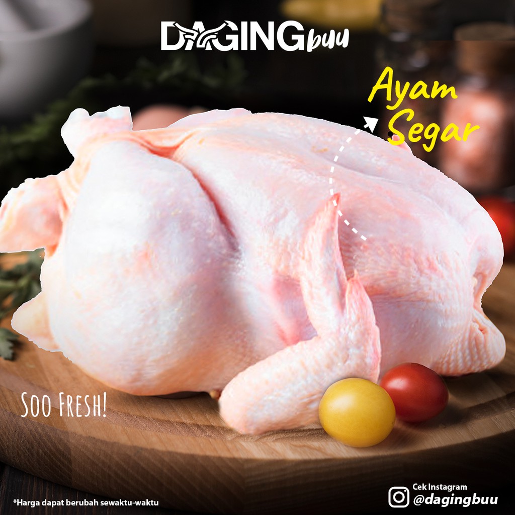 

Ayam Negeri Premium Halal ( BIG SIZE )