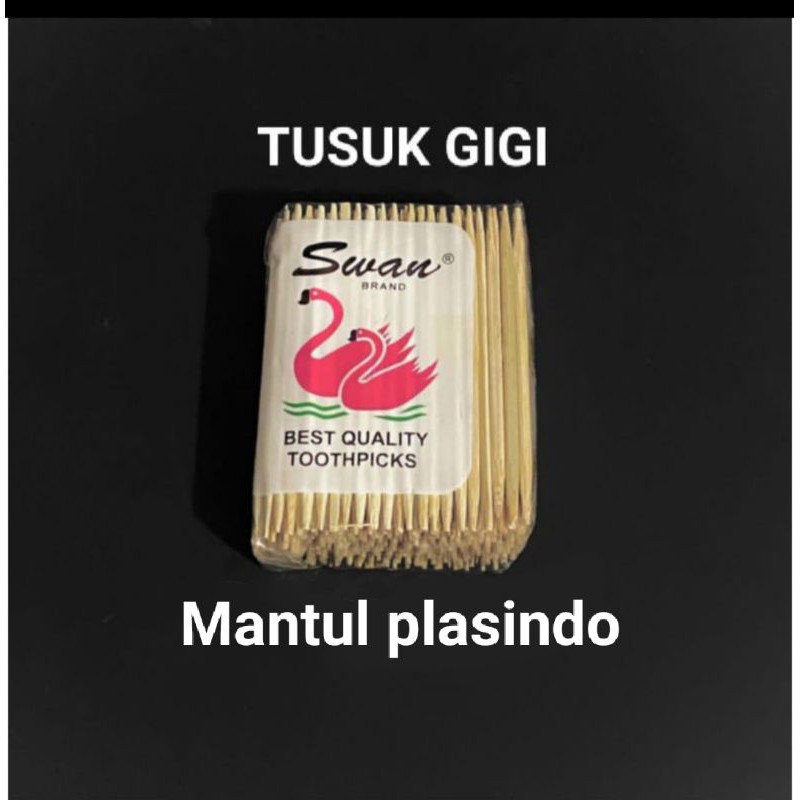 Tusuk Gigi Bambu - Toothpicks Murah Termurah