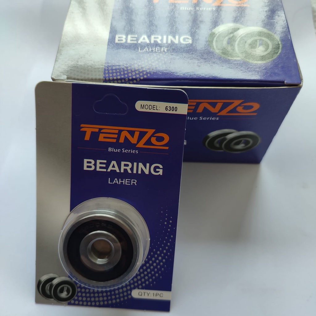 BEARING 6300