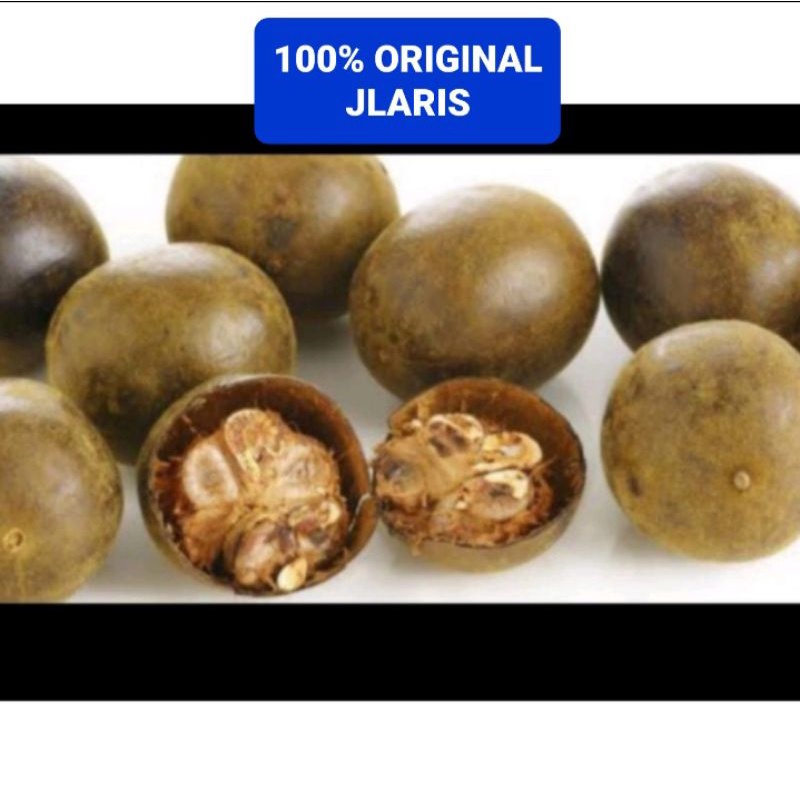 Buah Lo Han kuo ( LOU HAN GUO )