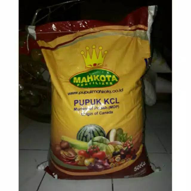 Pupuk KCL Mutiara 100 gram