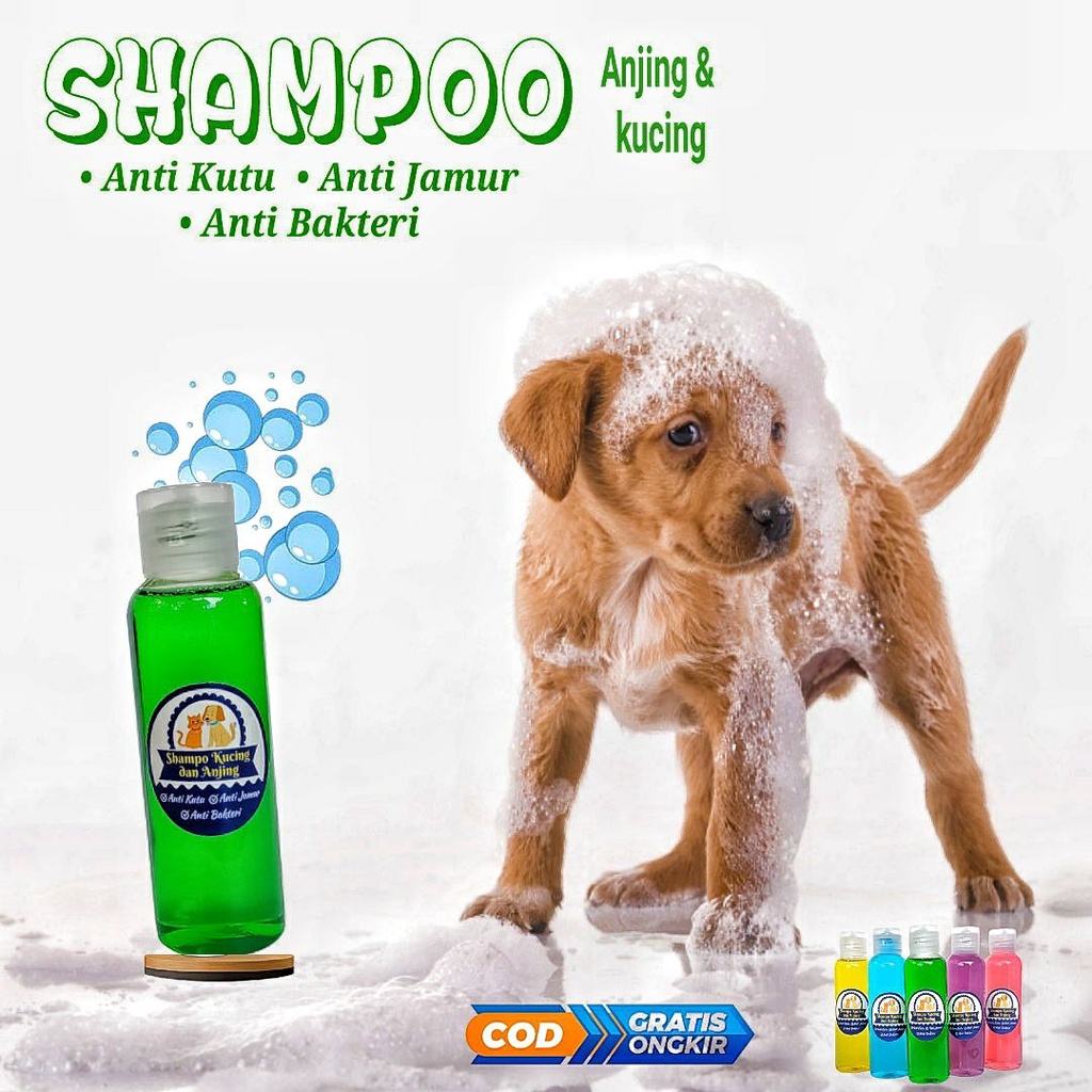 Shampoo kucing anti kutu dan jamur