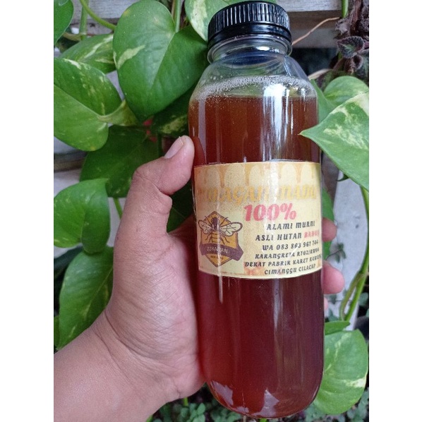 

MADU HUTAN MURNI ASLI HUTAN BADUY TERBAIK !!