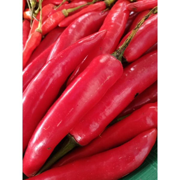 

Cabe Merah - 250gram