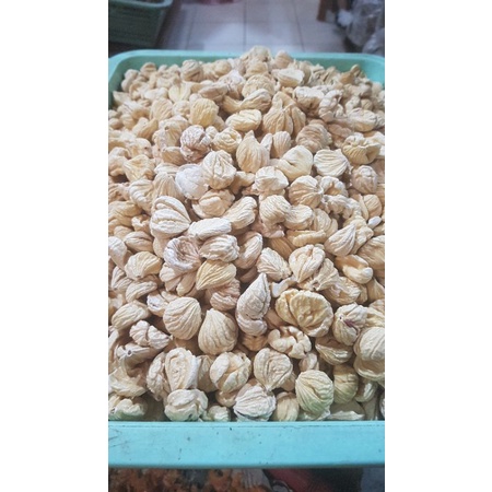 

Kacang Berangan / Kacang Kastanye (KAULAK)