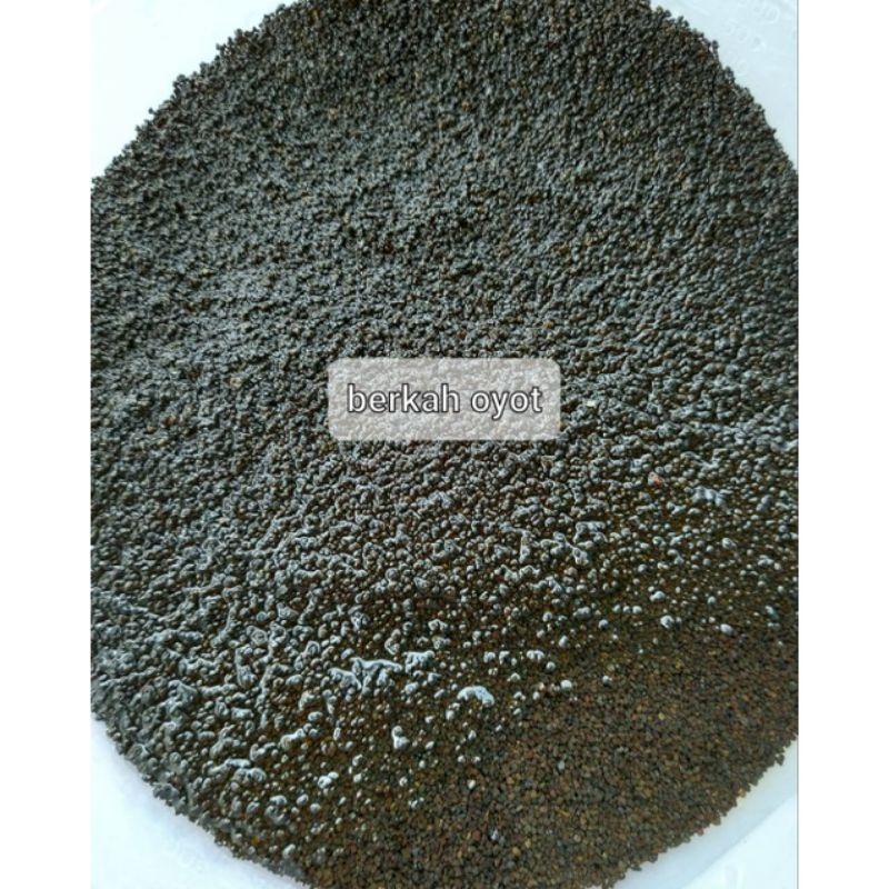 PASIR MALANG HITAM PEKAT 1 KG HALUS 0.5 MURAH IKAN CHANNA