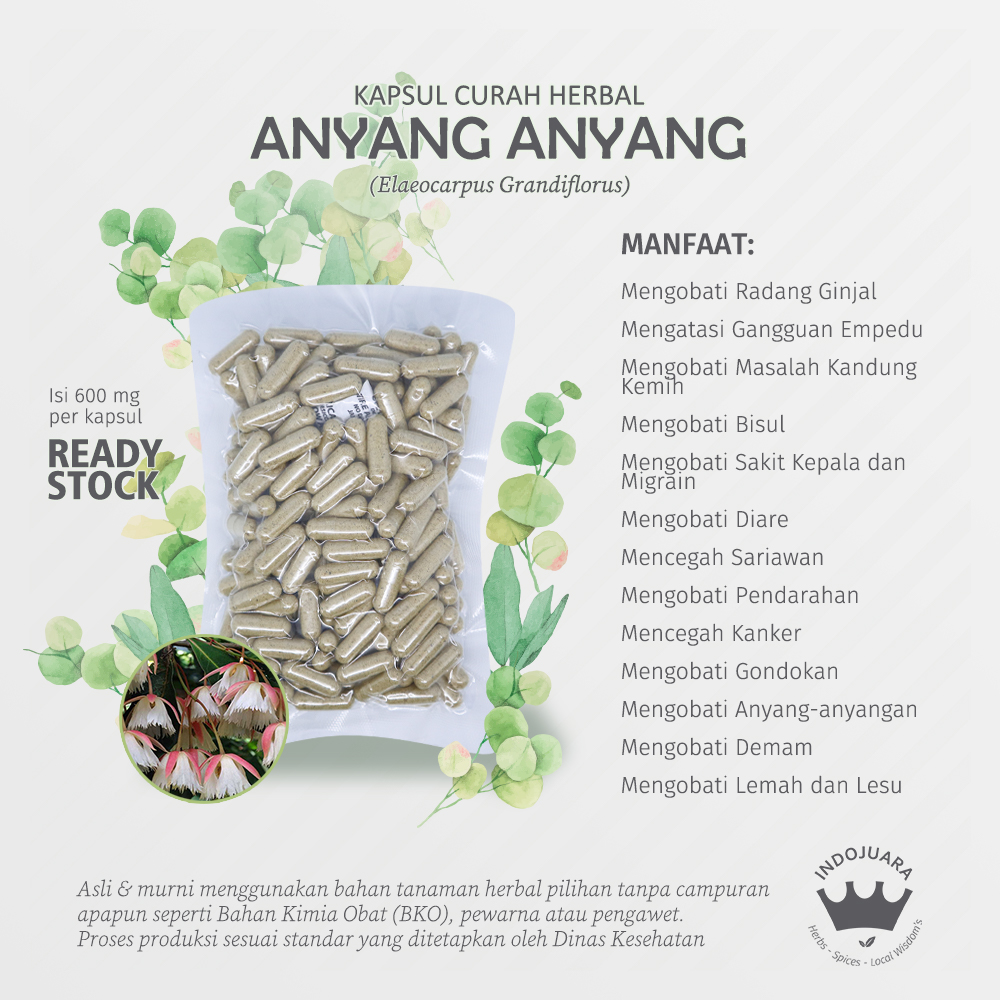 

ANYANG ANYANG 100 Kapsul Curah Herbal Empedu Ginjal Diuretik Migrain
