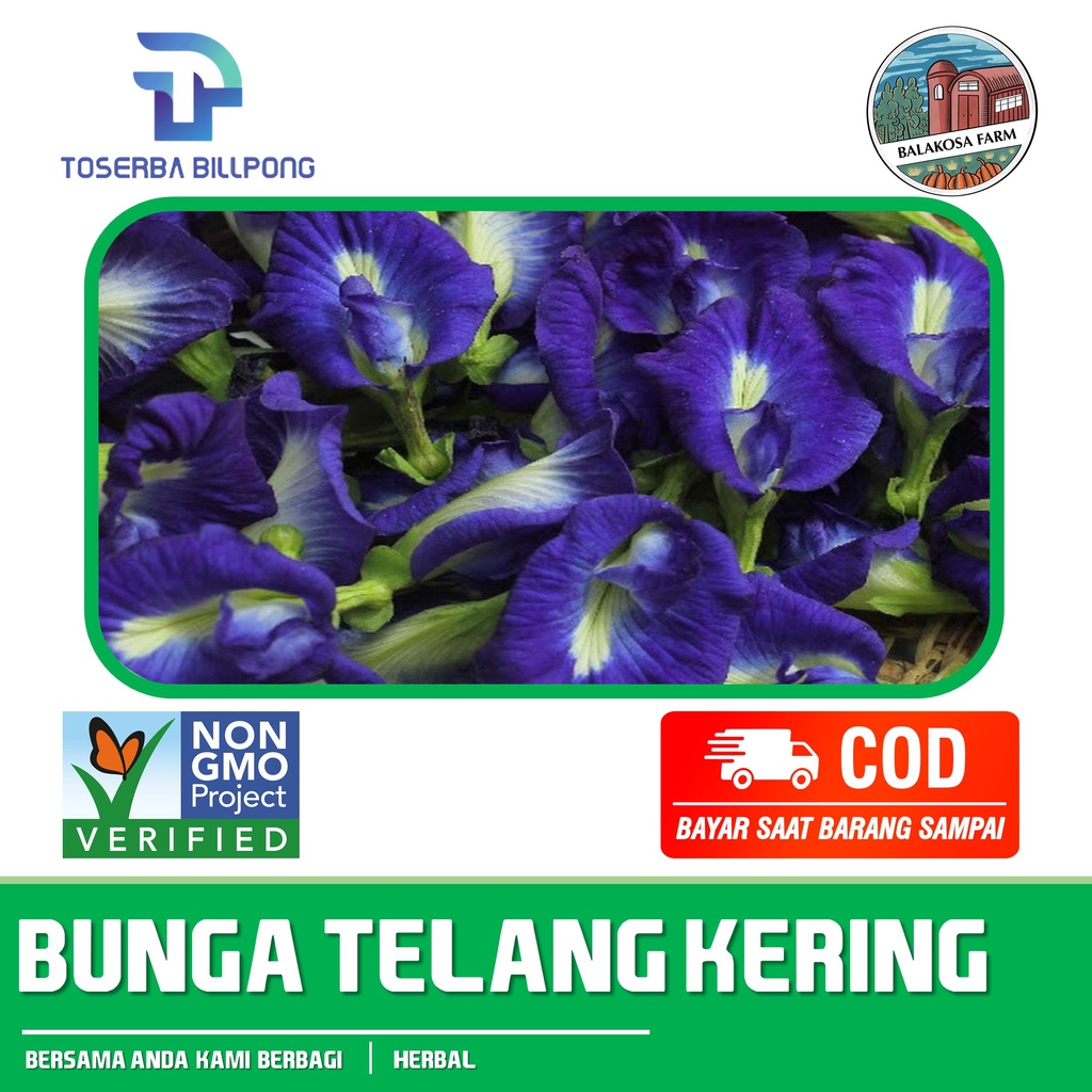 

Bunga Telang Kering Teh Bunga Telang Butterfly Pea Tea