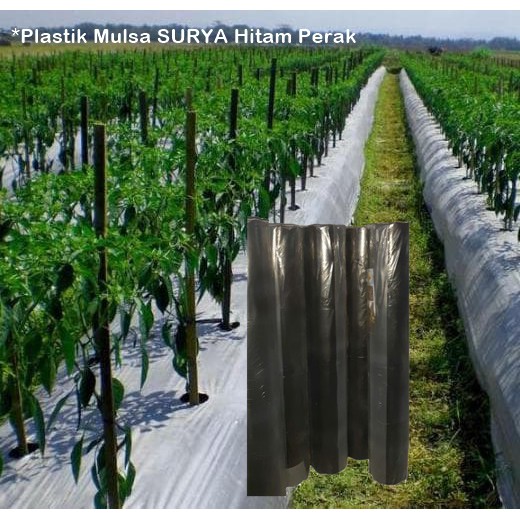 Plastik Mulsa SURYA Hitam Perak 1 Roll