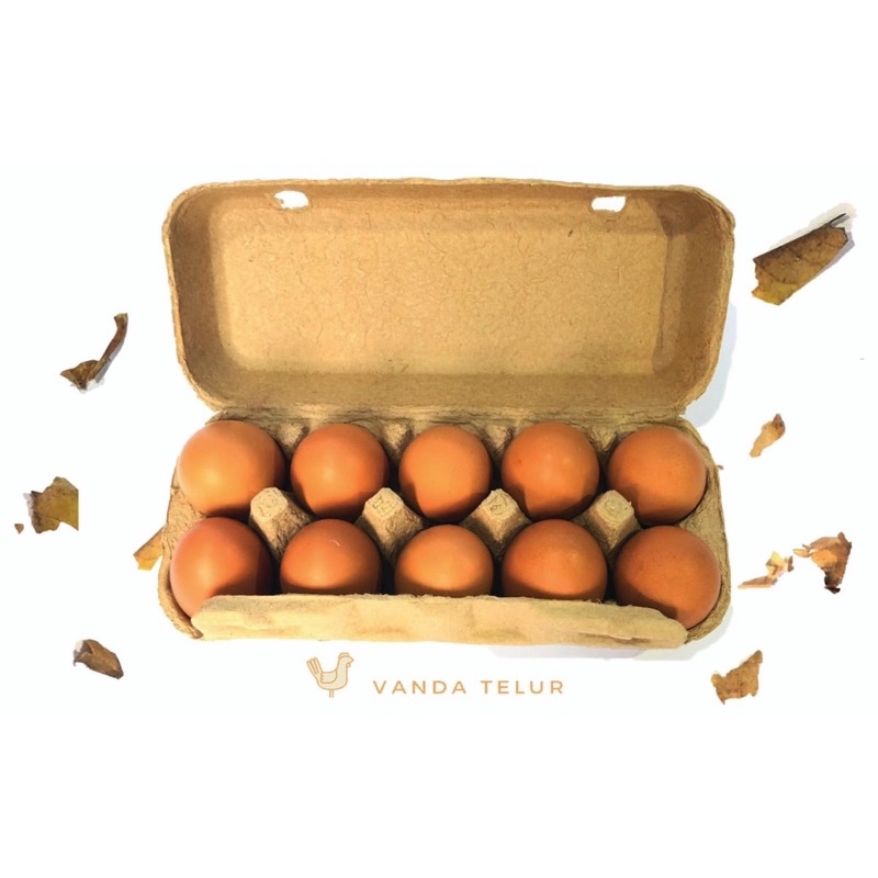 

Telur Ayam Negri Segar / Fresh Kemasan Box Tebal