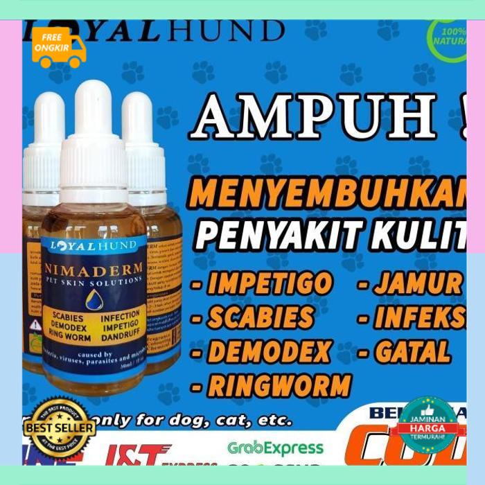 OBAT KULIT ANJING GATAL LUKA, SCABIES, JAMUR, DEMODEX, INFEKSI BAKTERI Nafsu Makan, Bulu Rontok,