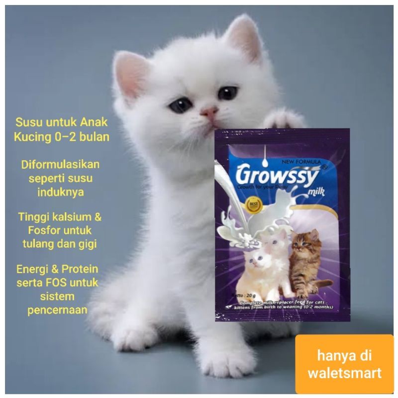 Growssy Milk 20gr Sachet Susu Anak Kucing Kitten 0-2 bulan