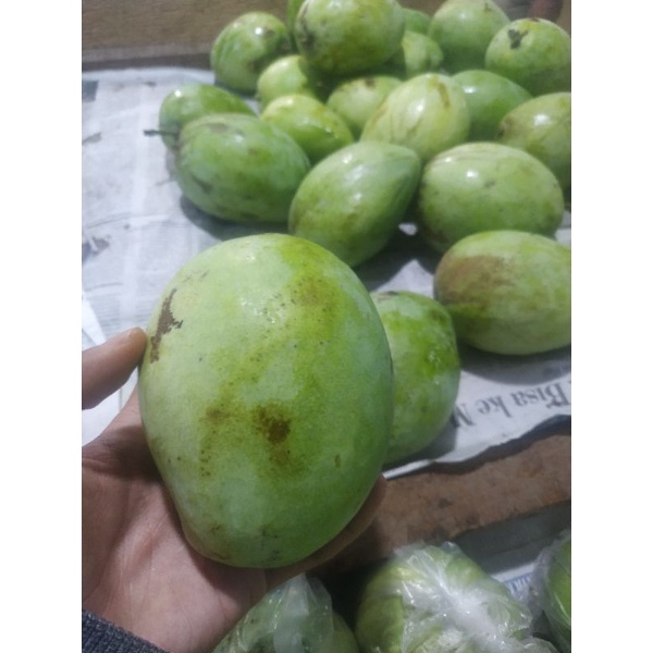 

mangga cengkir indramayu 1kg
