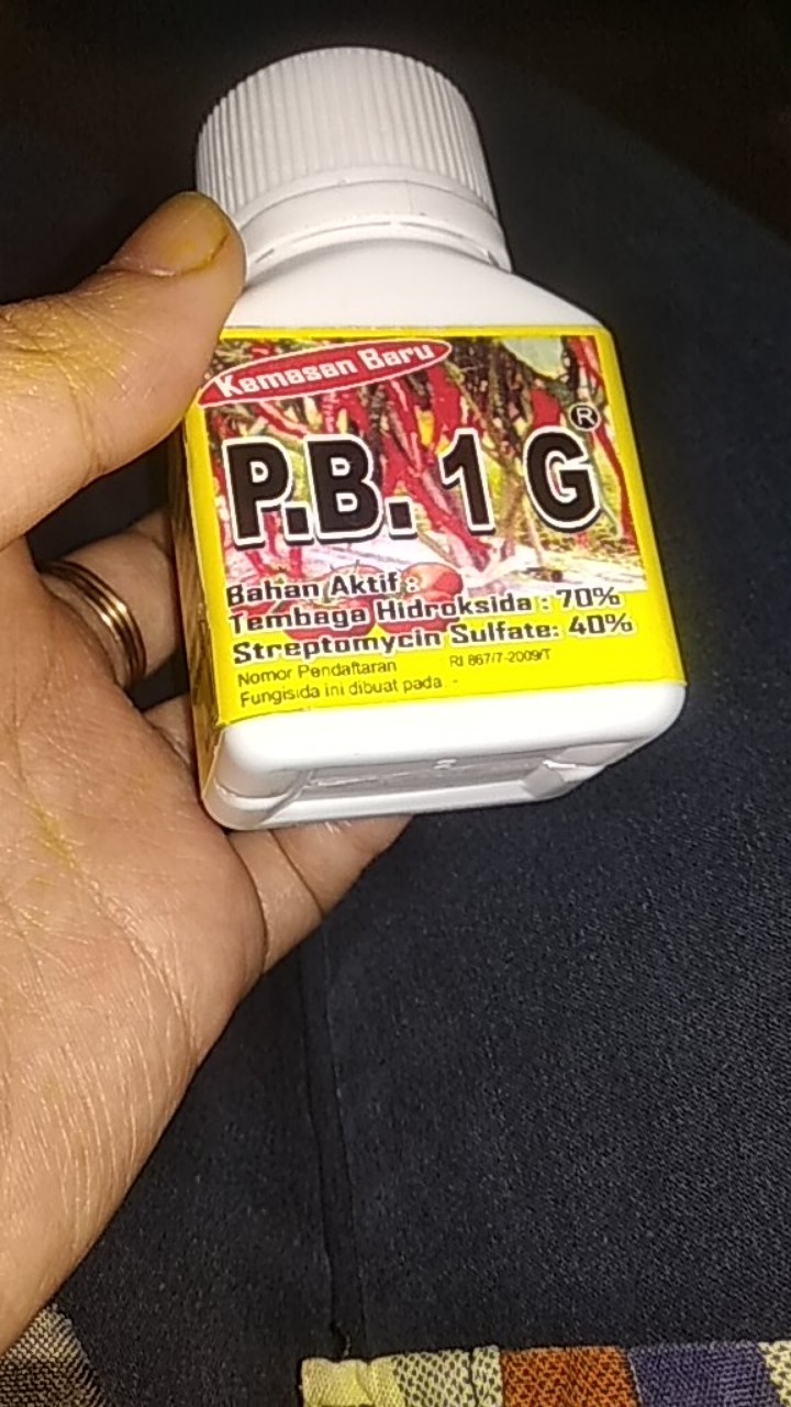 P.b.1g Obat Layu Fusarium Dan Layu Bakteri 50gram