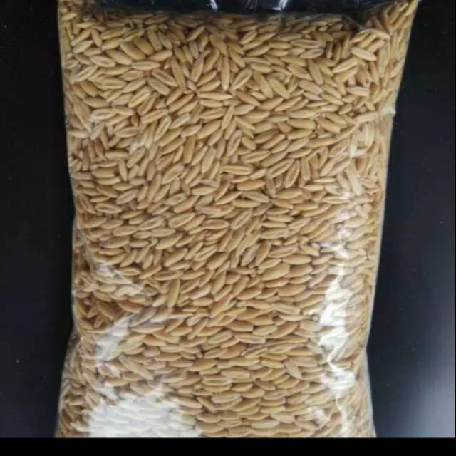 

HAVERSEED KULIT ISI 500GR