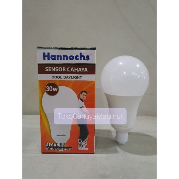 Lampu Led Sensor Cahaya 30w 30watt - Light Sensor Otomatis Hannochs