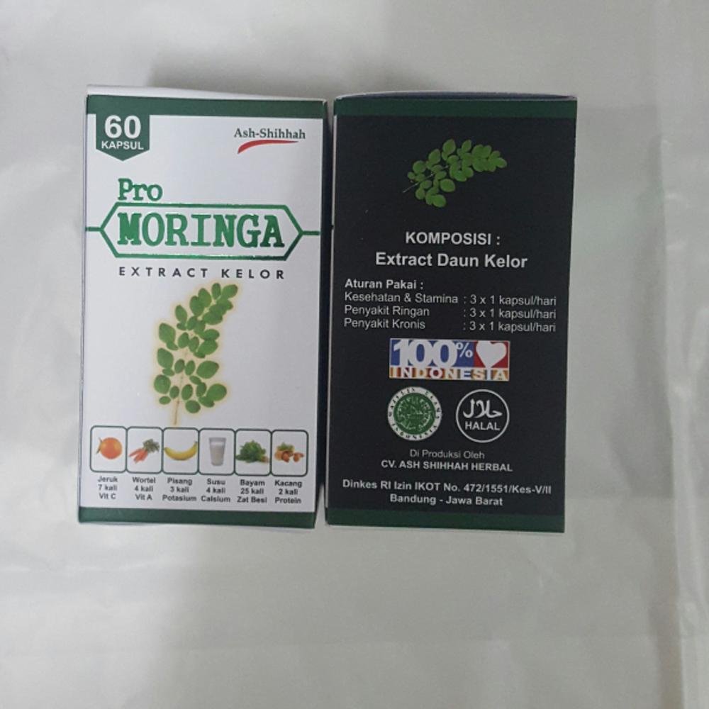 

Promoringa/Daun Kelor