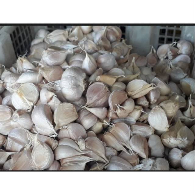 

Bawang putih kating murah 1/4kg