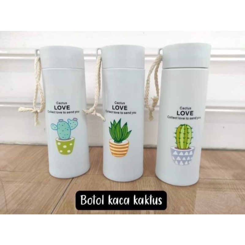 Botol Kaca Kaktus