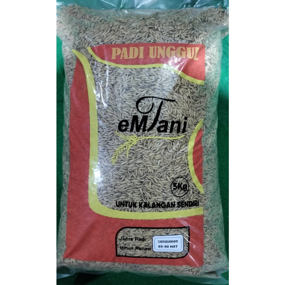 Benih Padi Cakrabuana 05 (5kg)