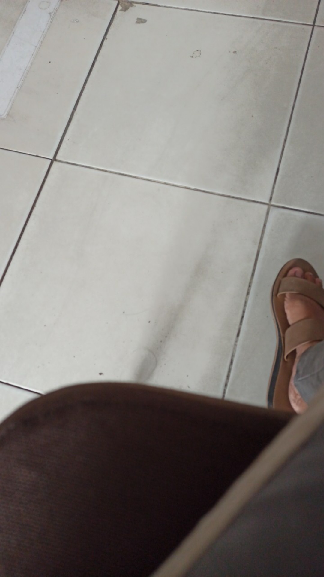 Plastik Wrapping / Stretch Film 50cm 150m