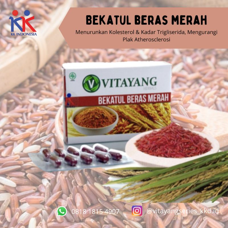 

vitayang bekatul beras merah obat herbal mengurangi lemak dan kolesterol dalam darah KK