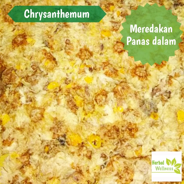 

Chrysanthemum / Ci Hua 37 gr