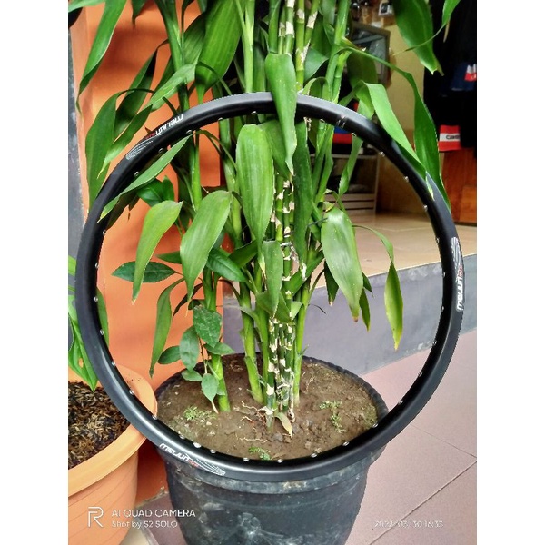 Meijun RIMS 20 inch 406 32h Alloy double wall disk brake