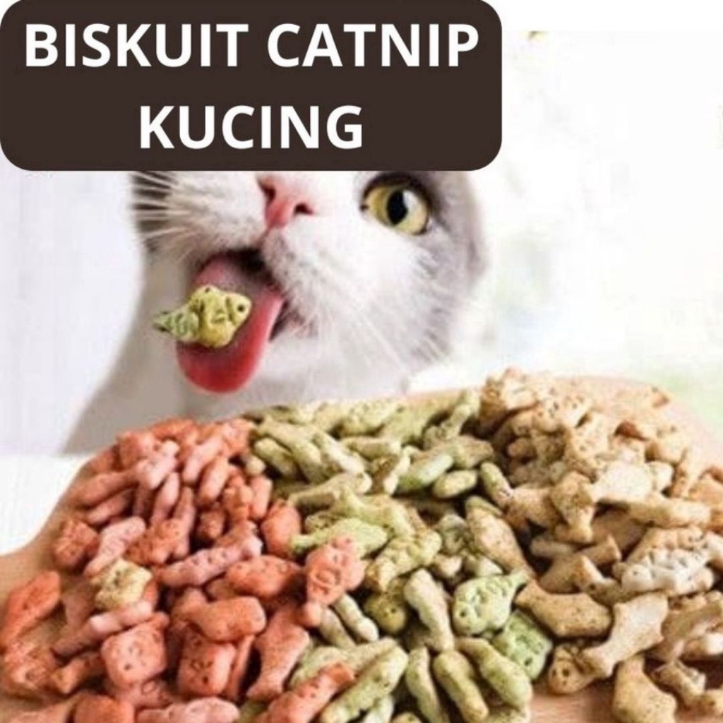 Biscuit Catnip Cat Kucing FEZONE