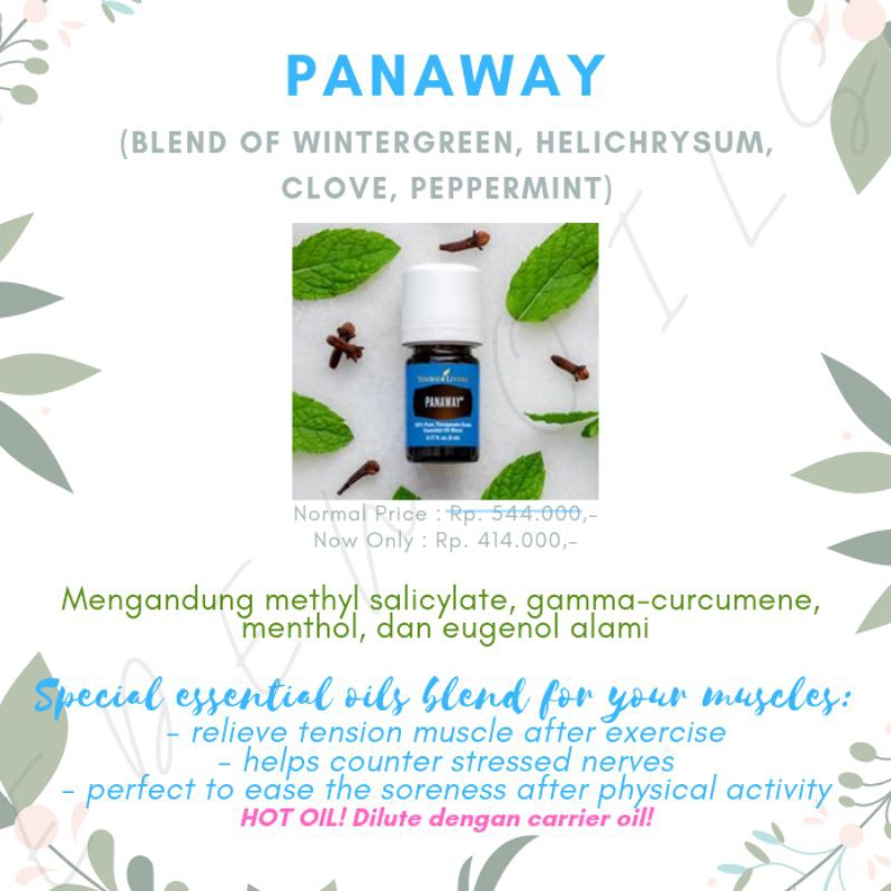 Panaway 5 Ml Essential Oil Young Living Shopee Indonesia