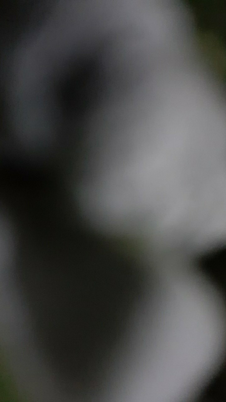 Pisau Buah 20cm Stainless Steel Termurah Tajam Stainless Steel Pemotong Kupas Makanan Dapur Warna