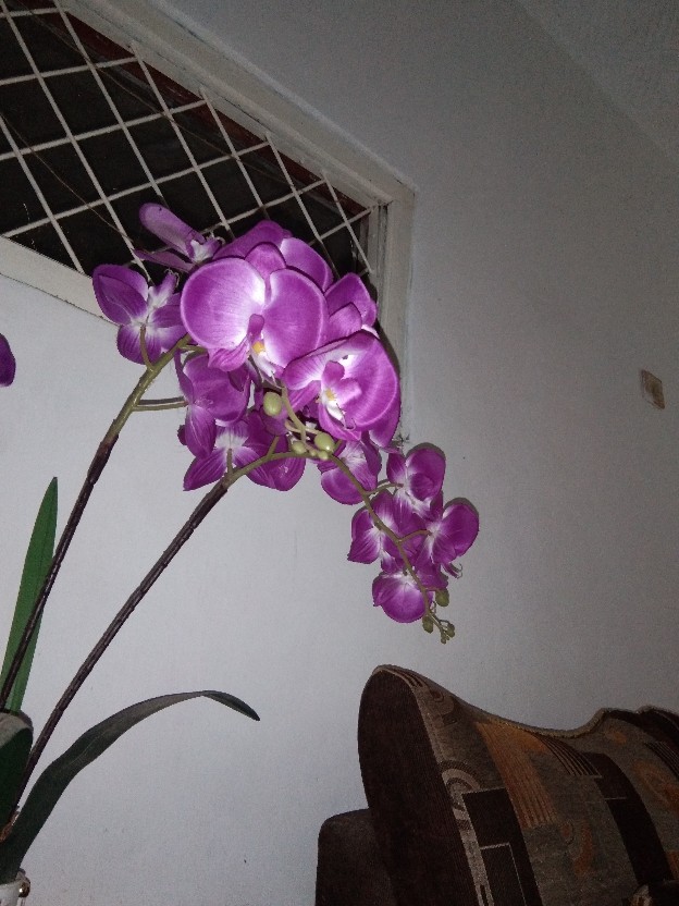 Nagada Spon Mandi / Bath Sponge / Spons Mandi Mekar 15 Gr / Shower Puff - 2w