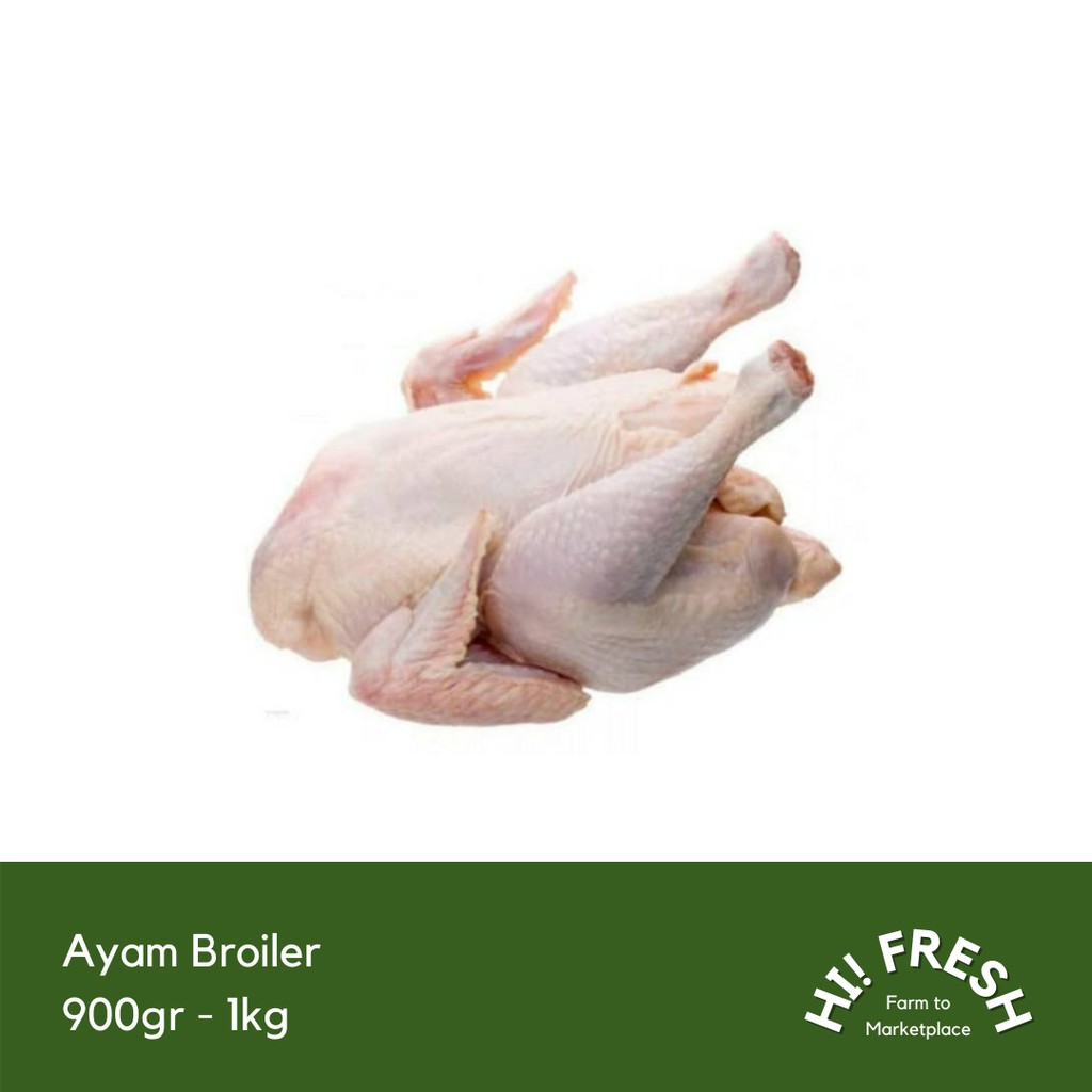 

Ayam Broiler 900gr - 1kg