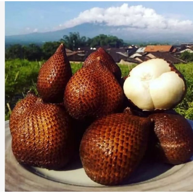 

Salak Gula Bali / Salak Gula Pasir Bali / Salak Manis Bali/ Oleh - oleh Bali