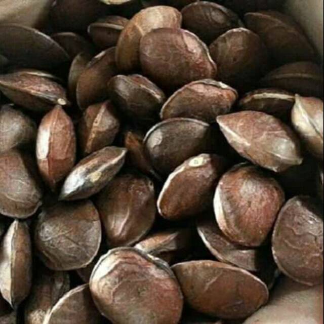 Bibiit  SACHA INCHI Unggul 1kg