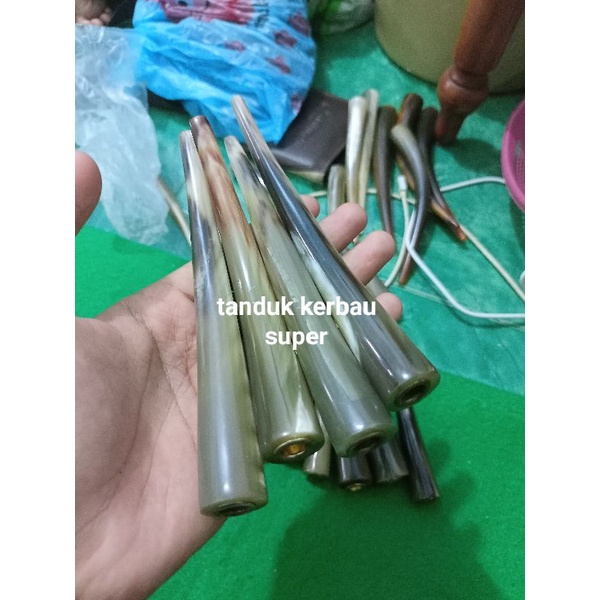 ONCE PIPA TANDUK KERBAU BULE ORIGINAL PANJANG