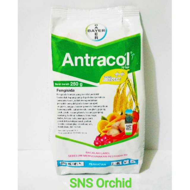 Antracol 250 gram fungisida obat anti busuk bunga anggrek ...