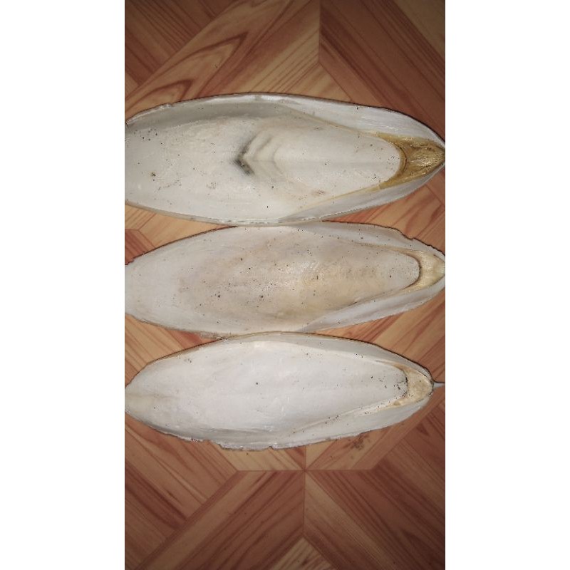 

ASINAN TULANG SOTONG 10cm minimal ORDER 50biji