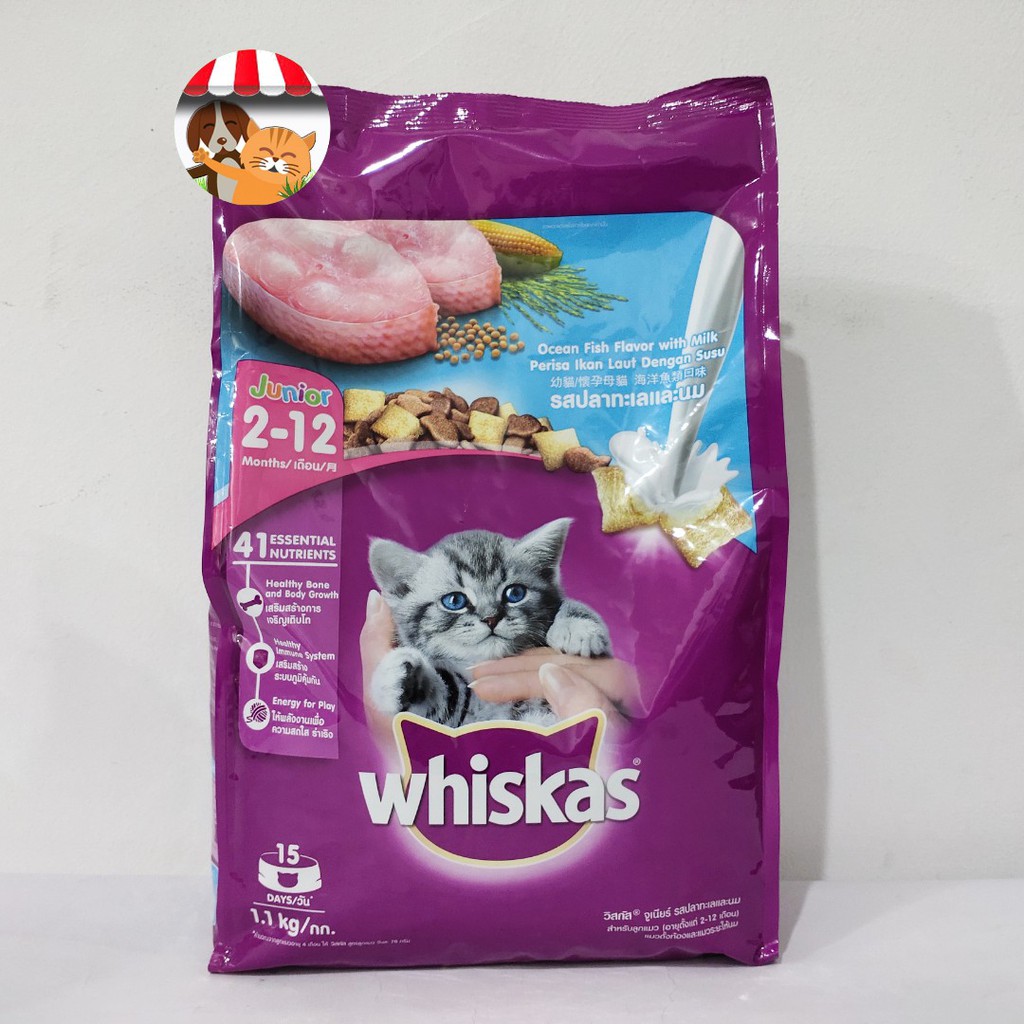 Whiskas Junior Ocean Fish 1.1kg  Makanan Kering Anak Kucing