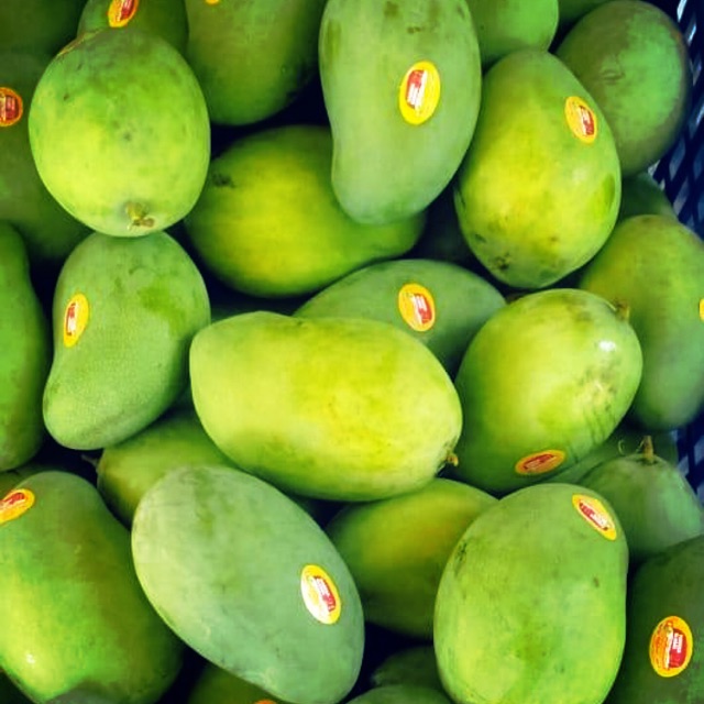 

Mangga Alpukat