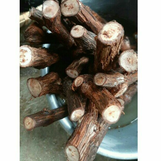 Cutting anggur alphonso