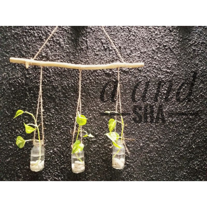 Vas Botol Kaca Gantung / Vas botol aesthetic