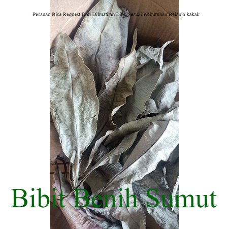 

Kacip Fatimah Kering 50gr Herbal Populer Malaysia Labisia Pumila Utk Kewanitaan & Tradisional Herbal Bila ingin order banyak bisa kami buatkan link khusus ya kak