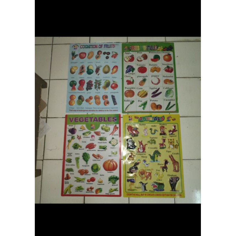 Poster Edukasi Timbul Huruf Alfabet Hijaiyah Hewan Sayur Buah Angka Alphabet Alpabet