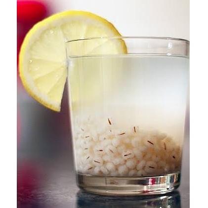 

[PRODUK EPKDP] Biji Jali-Jali Pearl Barley Biji Jali khasiat buat Kesehatan jali jali 500g