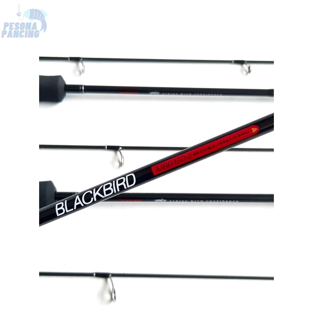 Joran Pancing MAGURO BLACK BIRD Full Carbon Action 15 Lbs Size 150-180 Spesial Tournament