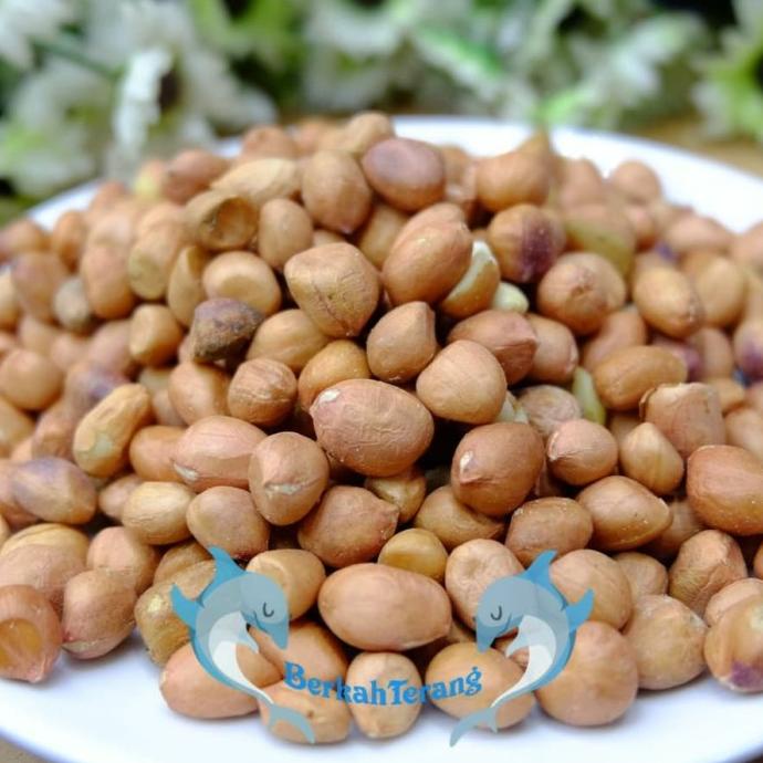 

NEW PRODUCT kacang Tanah Tuban Super 1kg AP203